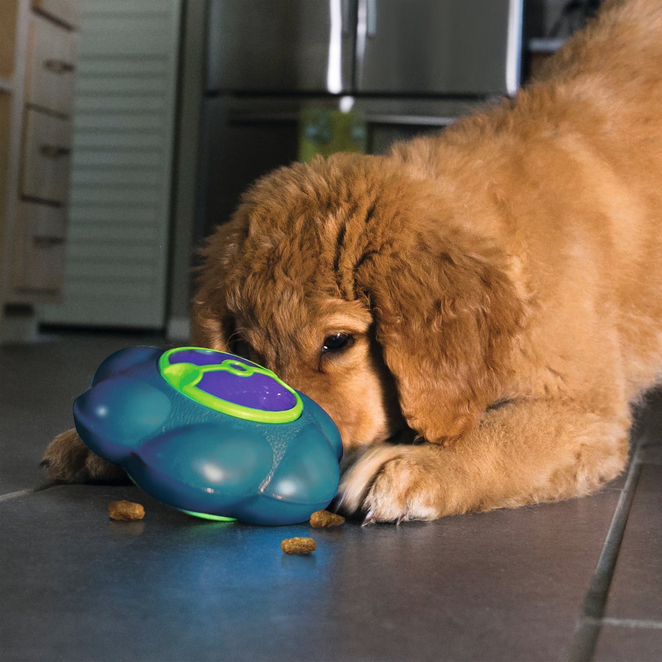 Flipz Hundespielzeug Bild 2