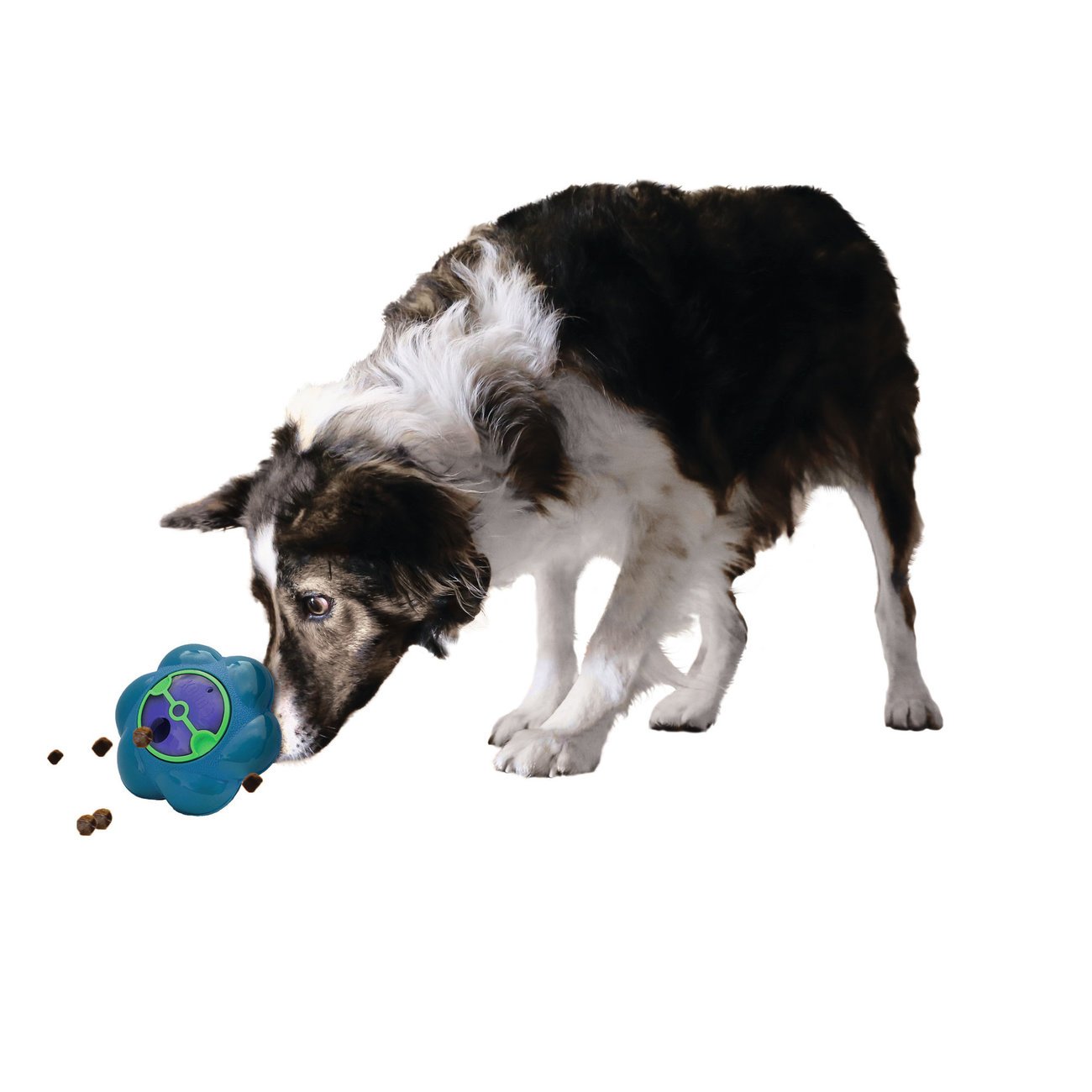 Flipz Hundespielzeug Bild 3