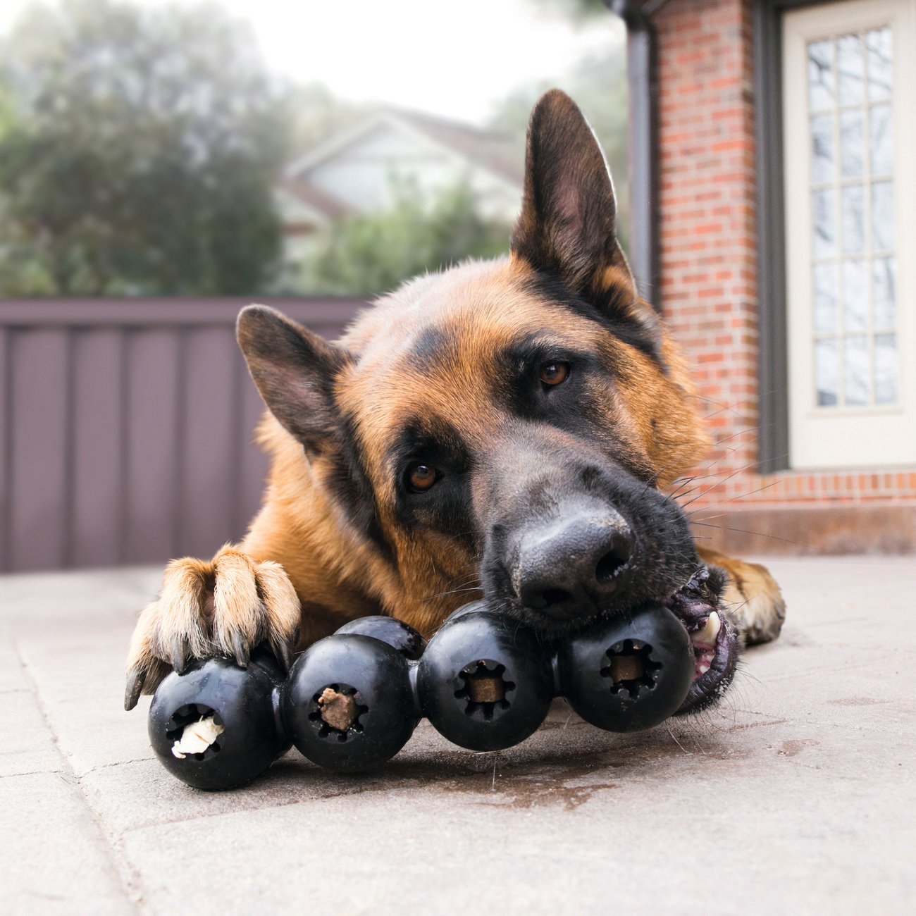 Hundespielzeug Extreme Goodie Ribbon Bild 2