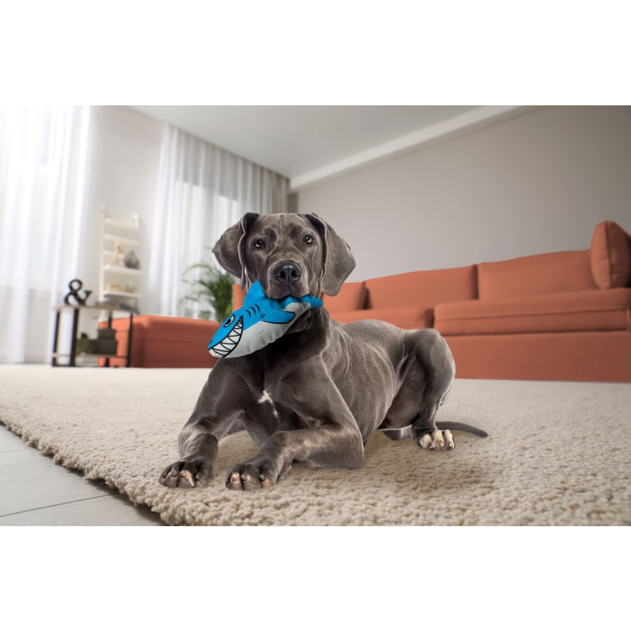 MAXX Friends Hundespielzeug Bild 3