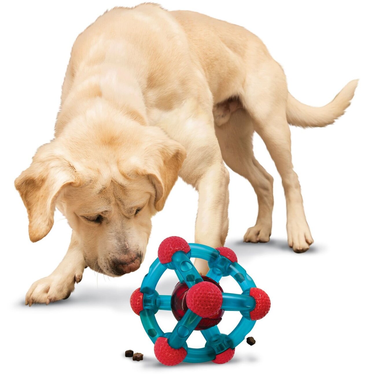 Hundespielzeug Rewards Tinker Bild 4