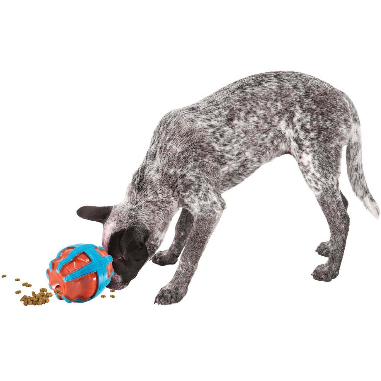 Hundespielzeug KONG Treat Spinner Bild 3