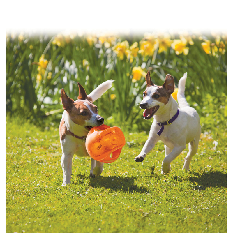 KONG Jumbler Hundespielzeug Bild 2