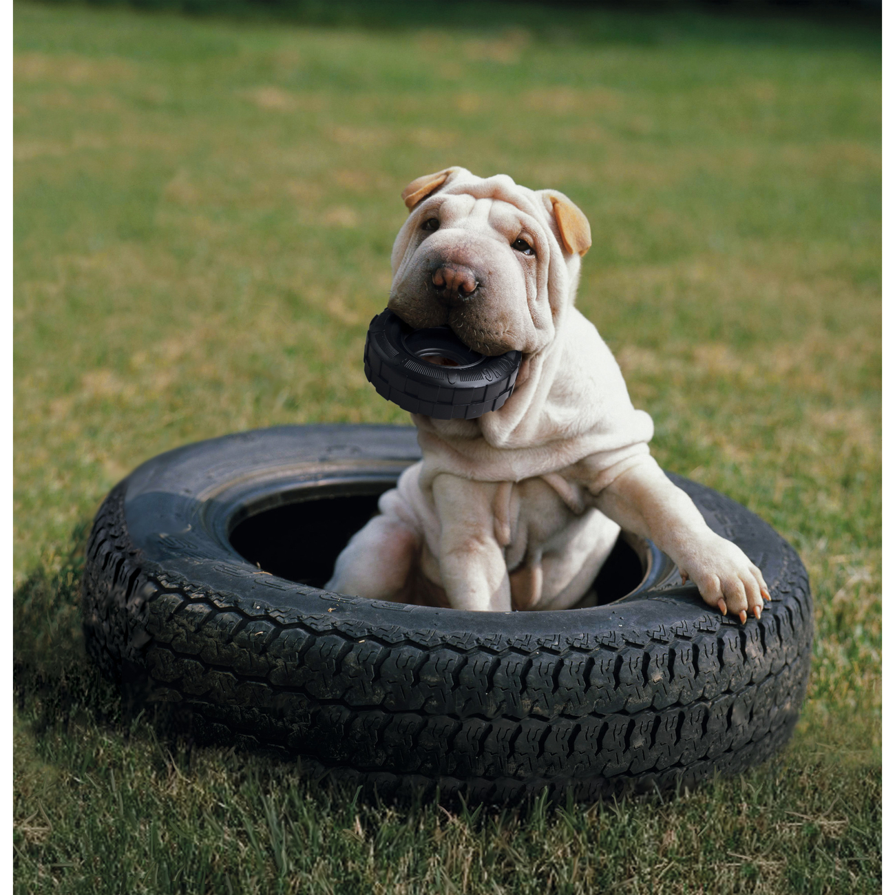 Extreme Tyres Kaureifen Bild 5