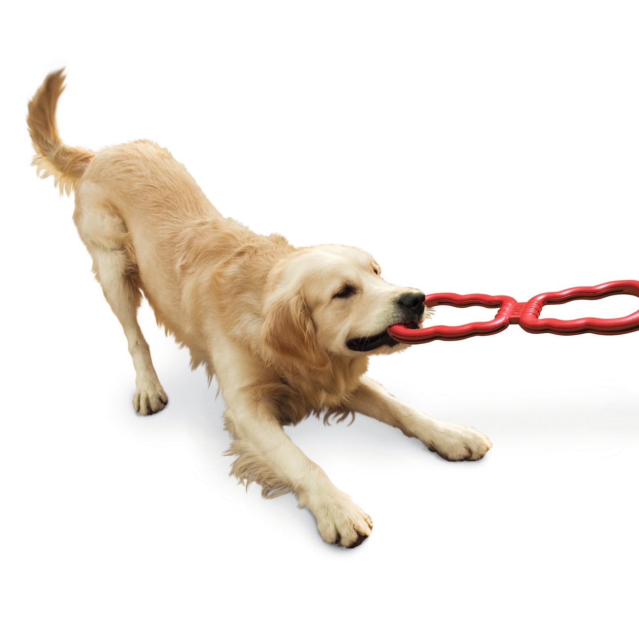 Tug Toy Zerrspielzeug für Hunde Bild 2