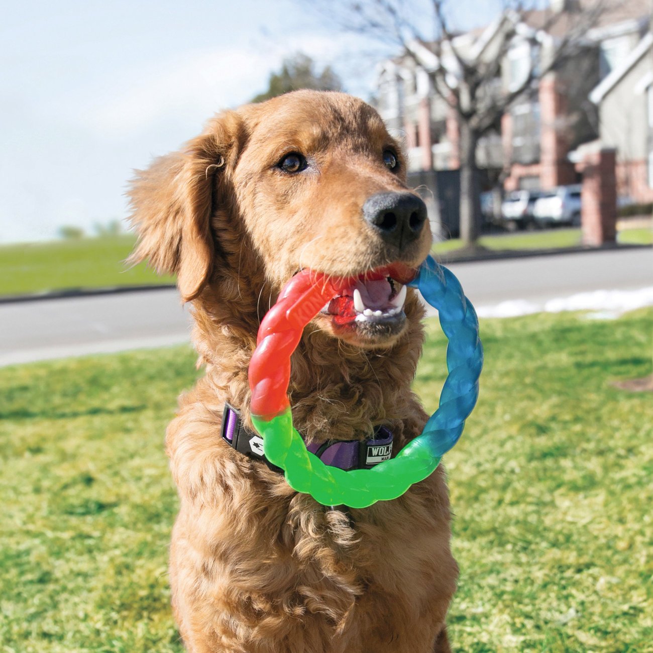 Twistz Hundespielzeug Bild 6