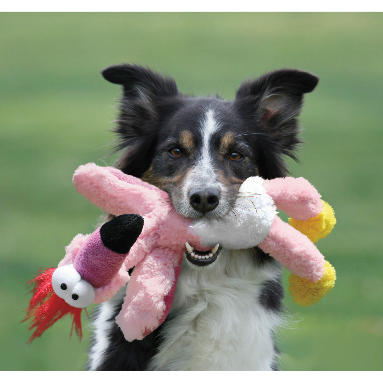 KONG Wild Knots Birds Hundespielzeug Bild 2