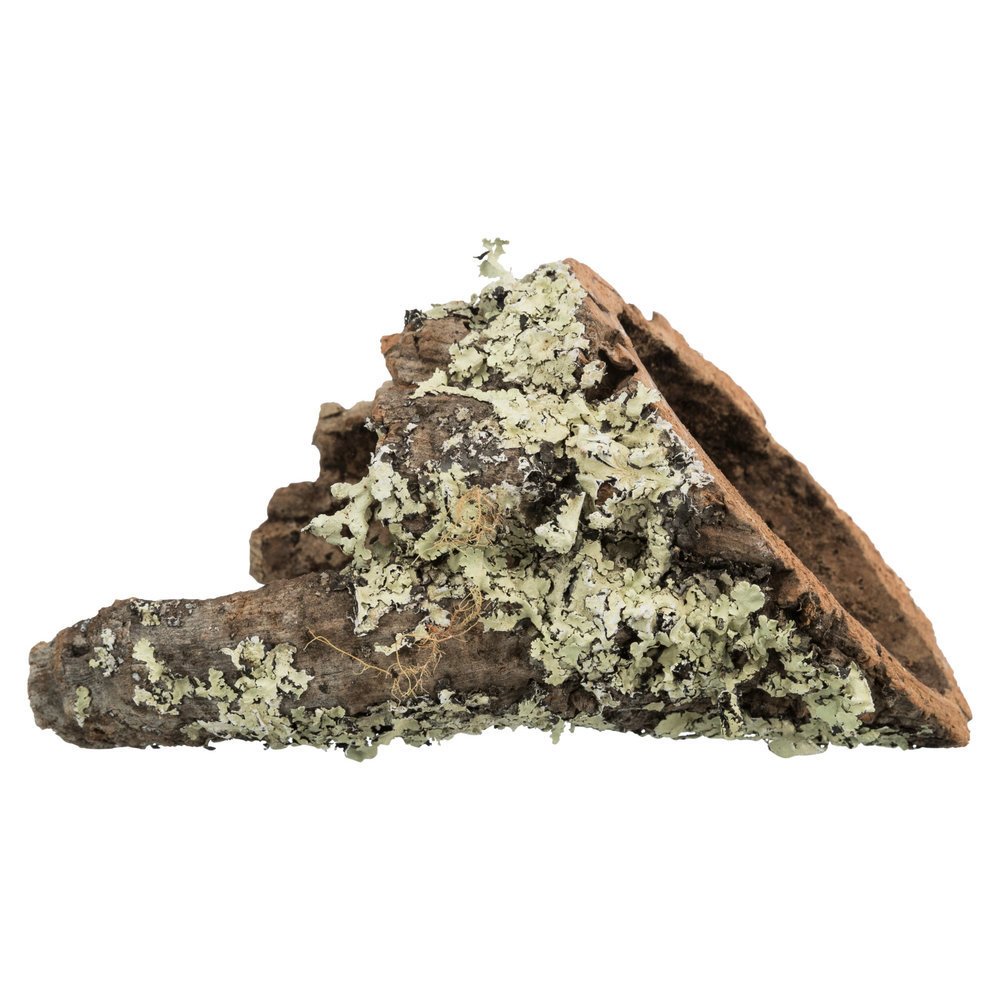 Korkröhren für Terrarien und Nager Bild 9