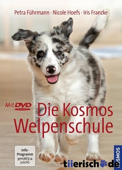 Kosmos Welpenschule Bild 1