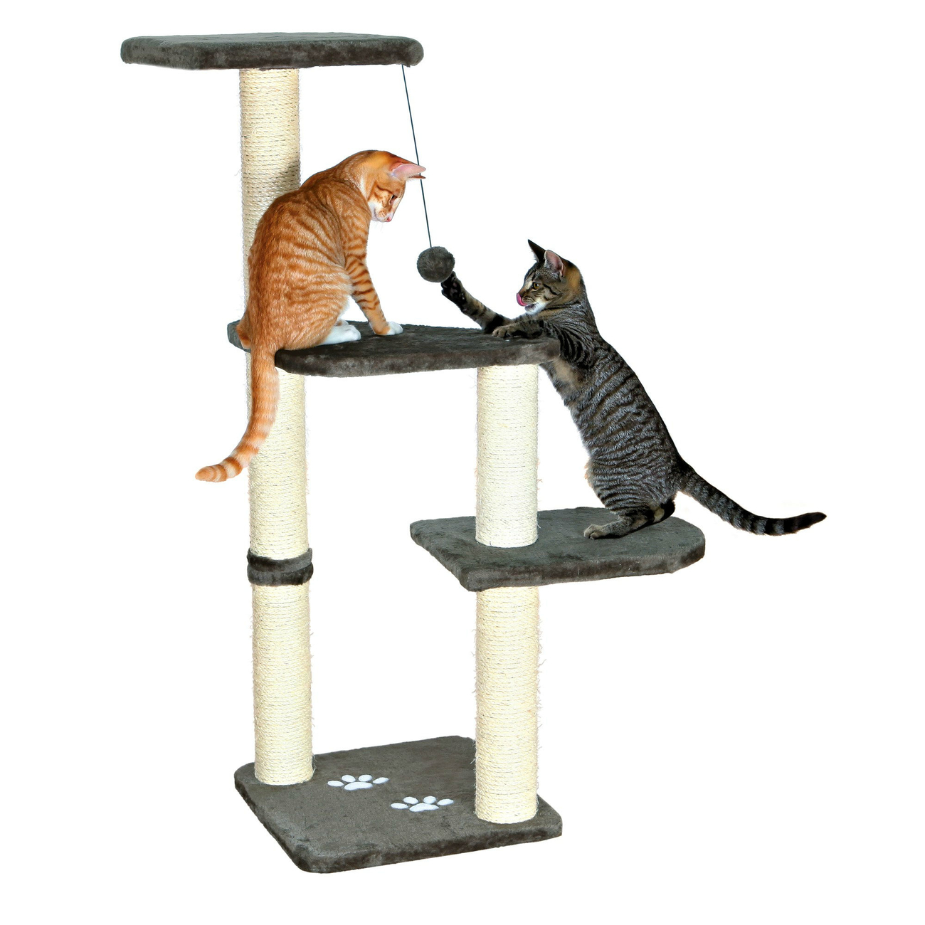 Kratzbaum Altea Bild 3