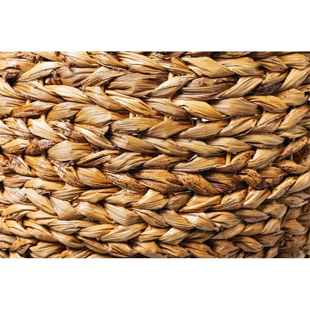 Kratzbaum Banana Leaf II Bild 4