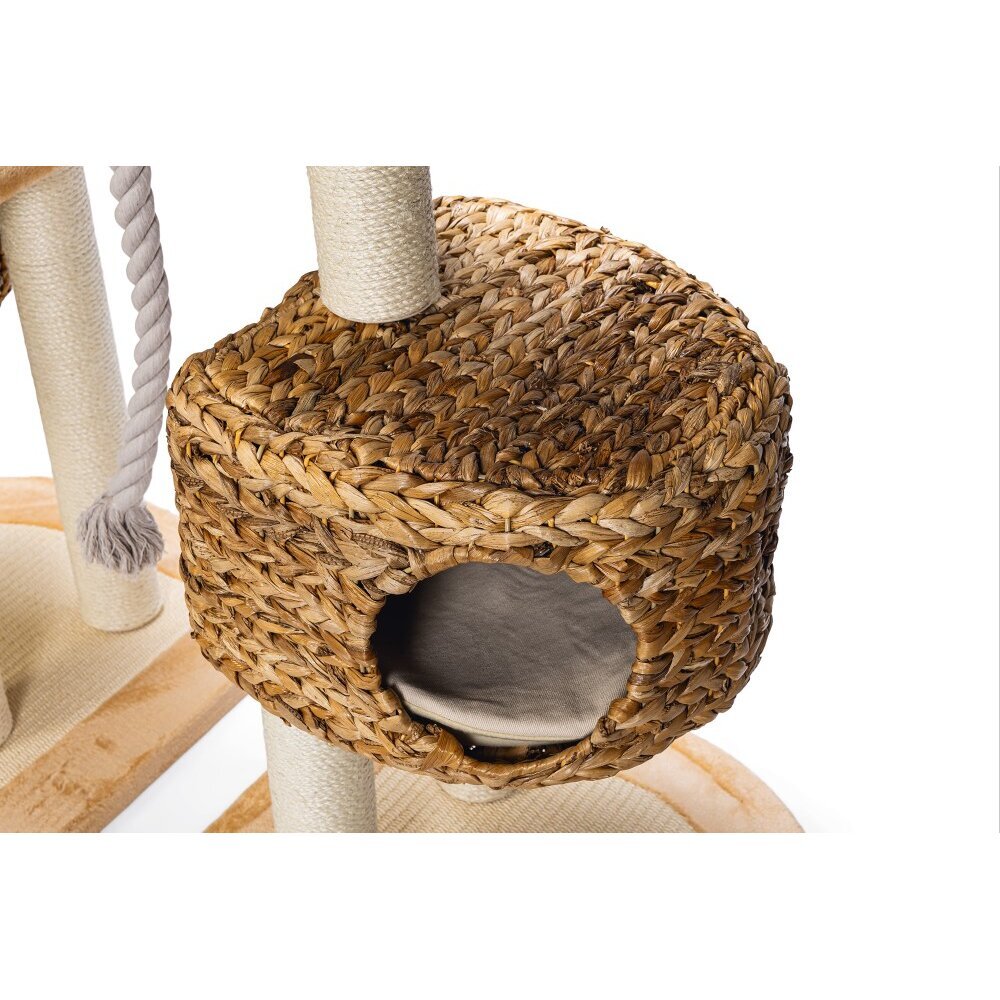 Kratzbaum Banana Leaf IV Bild 2