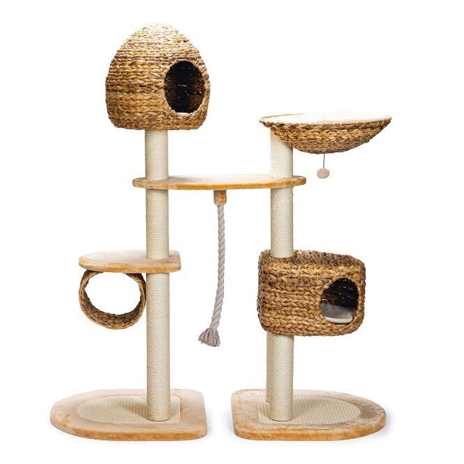 Kratzbaum Banana Leaf IV Bild 5