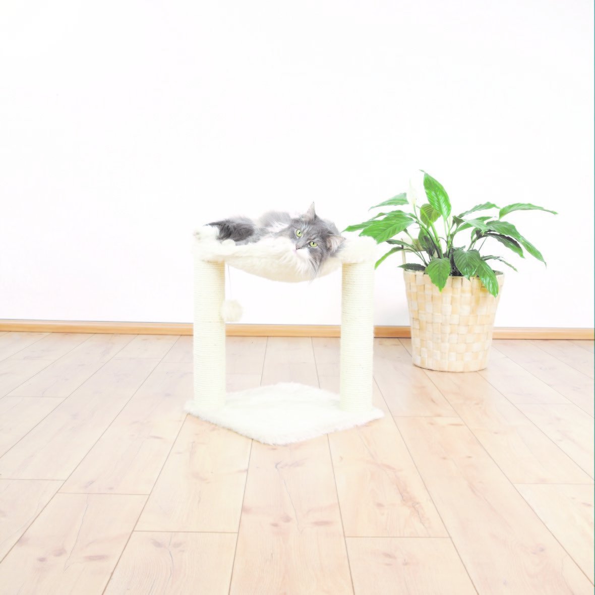 Sisal Kratzbaum Baza mit Plüsch Bild 6