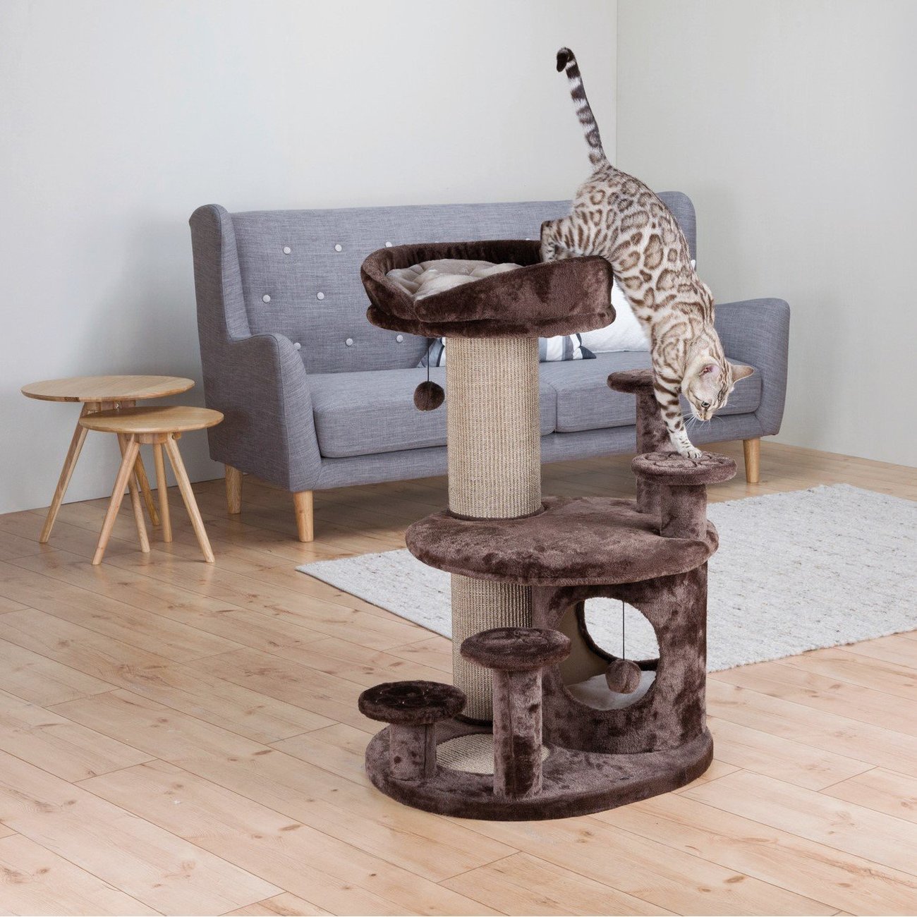 Kratzbaum für Senioren Emil Bild 8