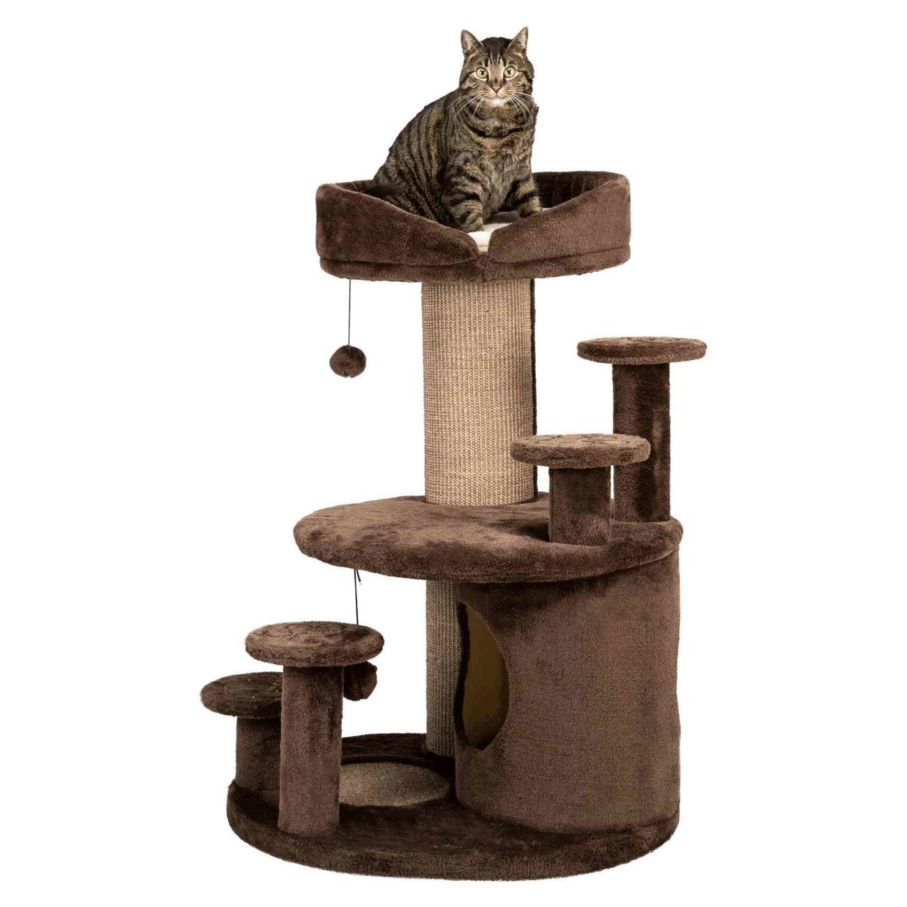 Kratzbaum für Senioren Emil Bild 13