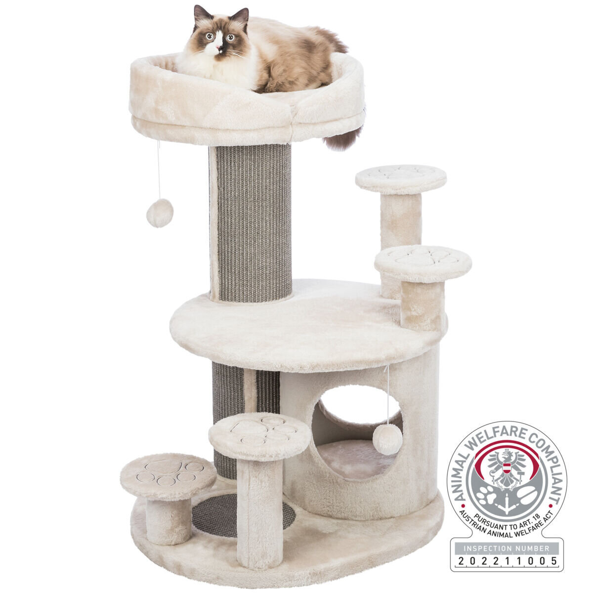 Kratzbaum für Senioren Emil Bild 16