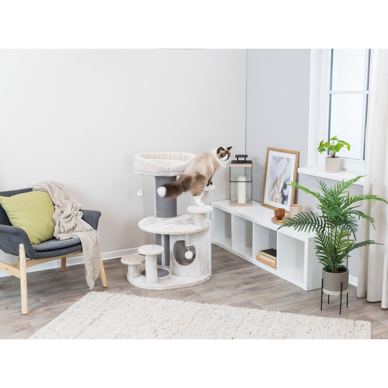 Kratzbaum für Senioren Emil Bild 4