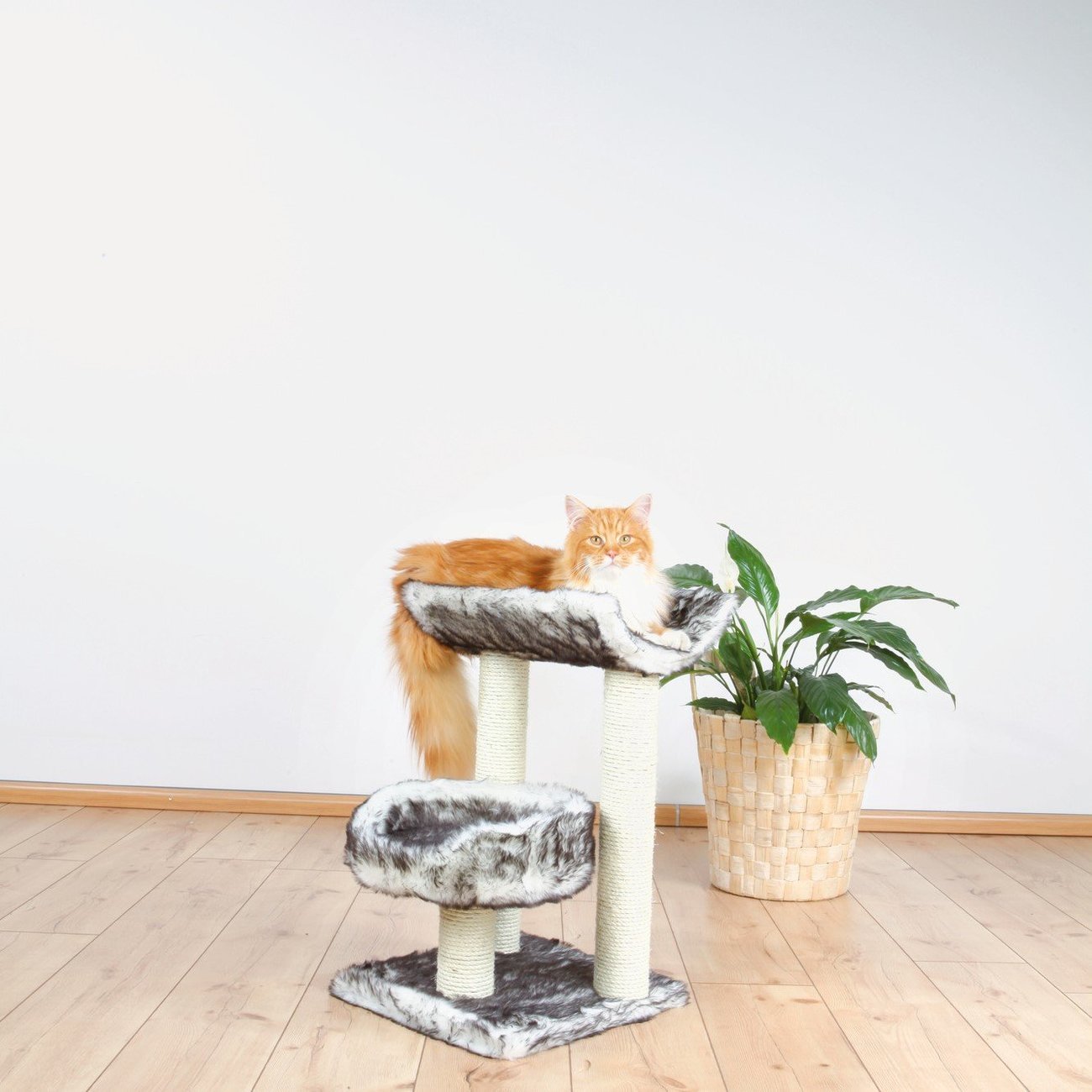 Kratzbaum Isaba Bild 5