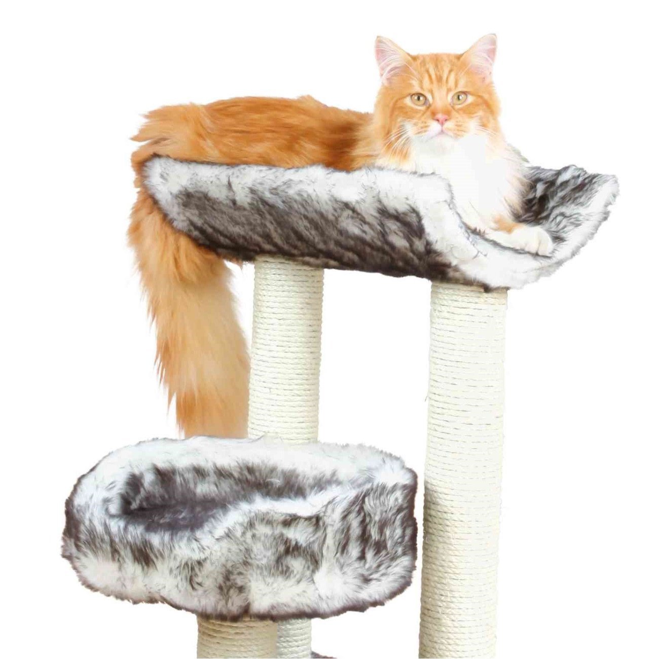 Kratzbaum Isaba Bild 7