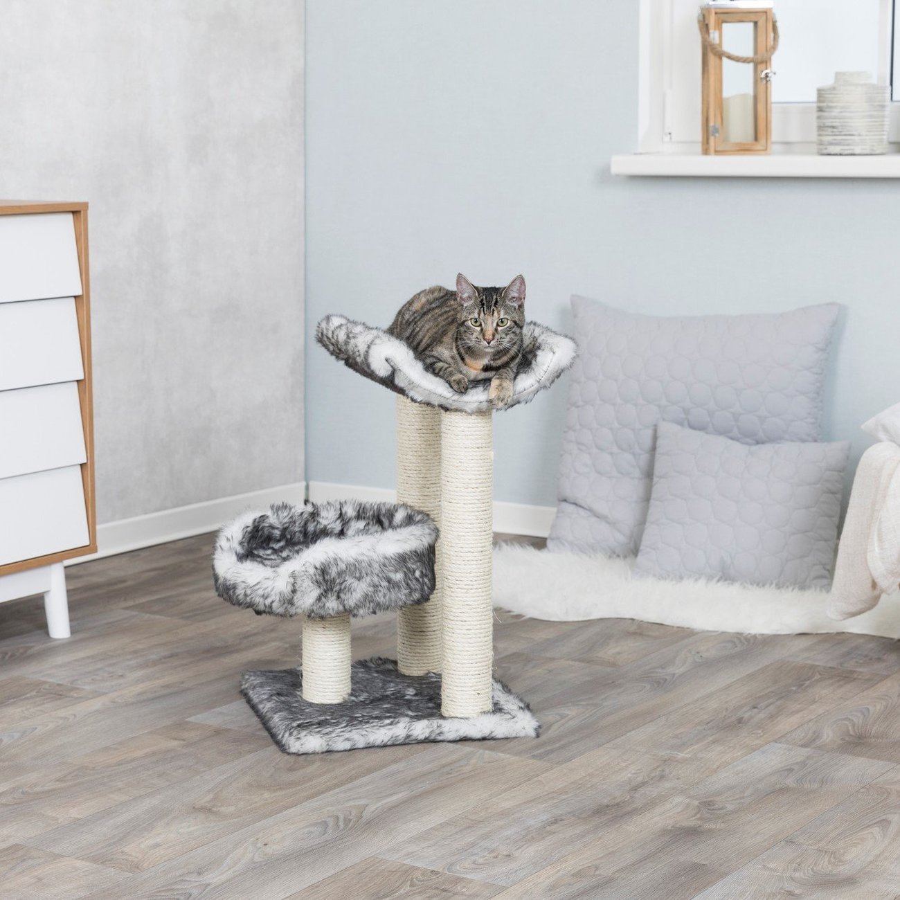 Kratzbaum Isaba Bild 2