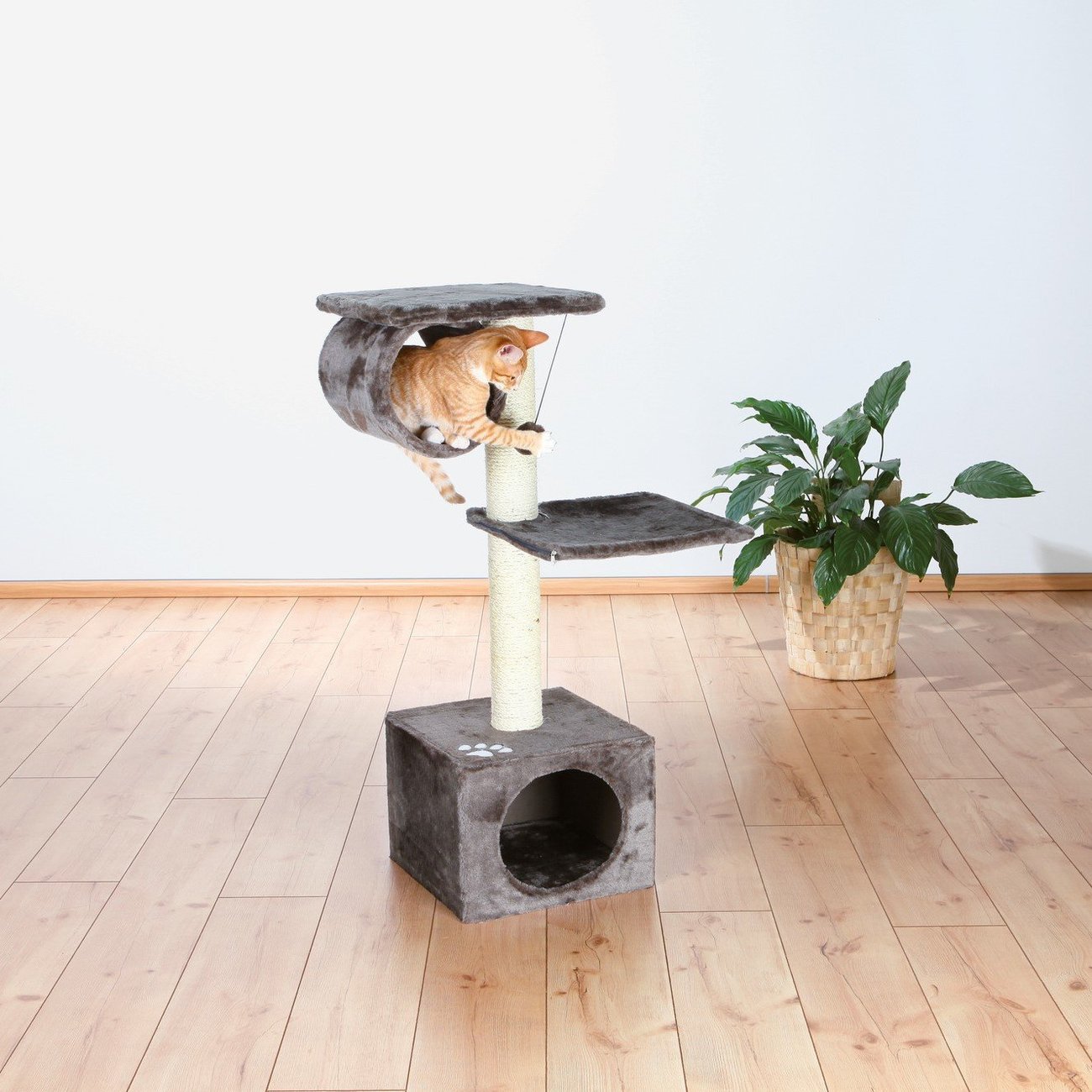 Kratzbaum San Fernando Bild 8