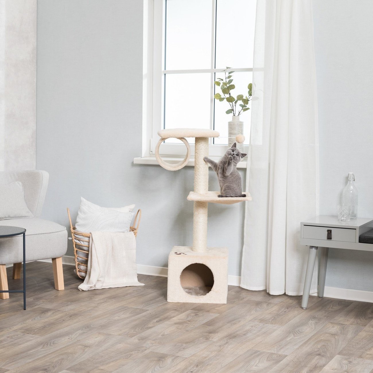 Kratzbaum San Fernando Bild 2