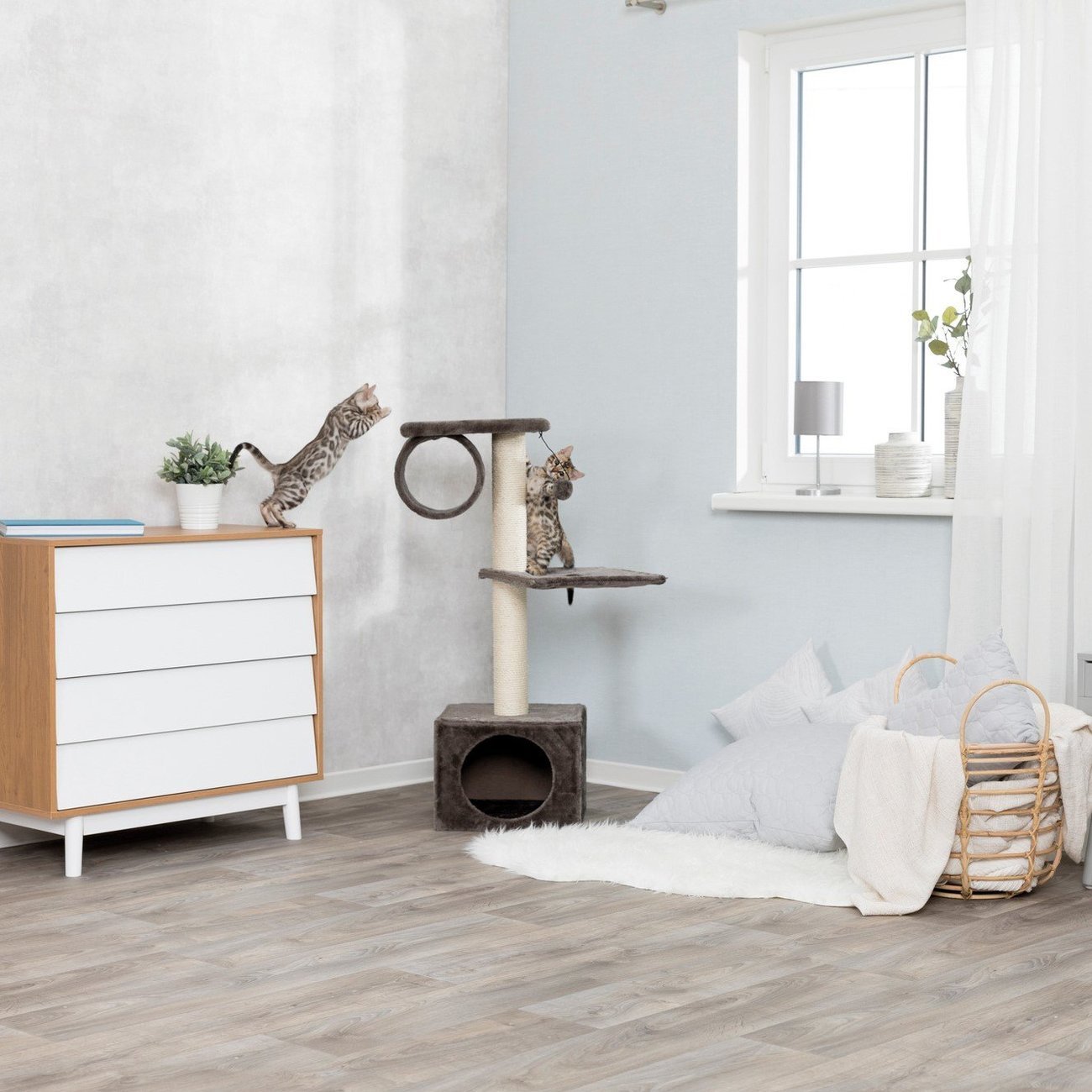 Kratzbaum San Fernando Bild 10