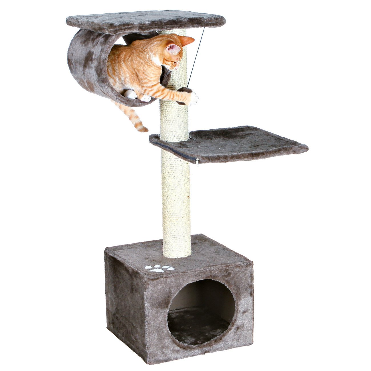 Kratzbaum San Fernando Bild 14