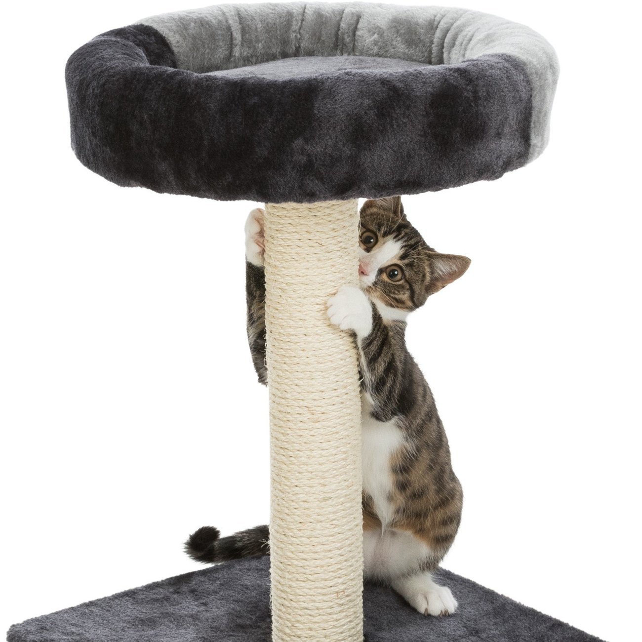 Kratzbaum Tarifa Bild 4