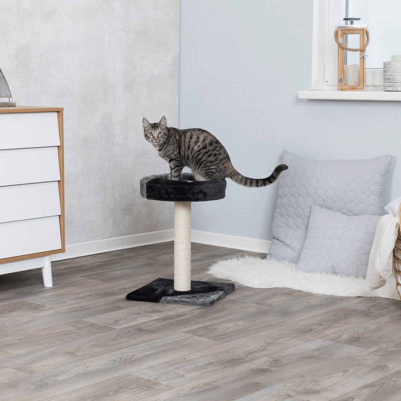 Kratzbaum Tarifa Bild 3