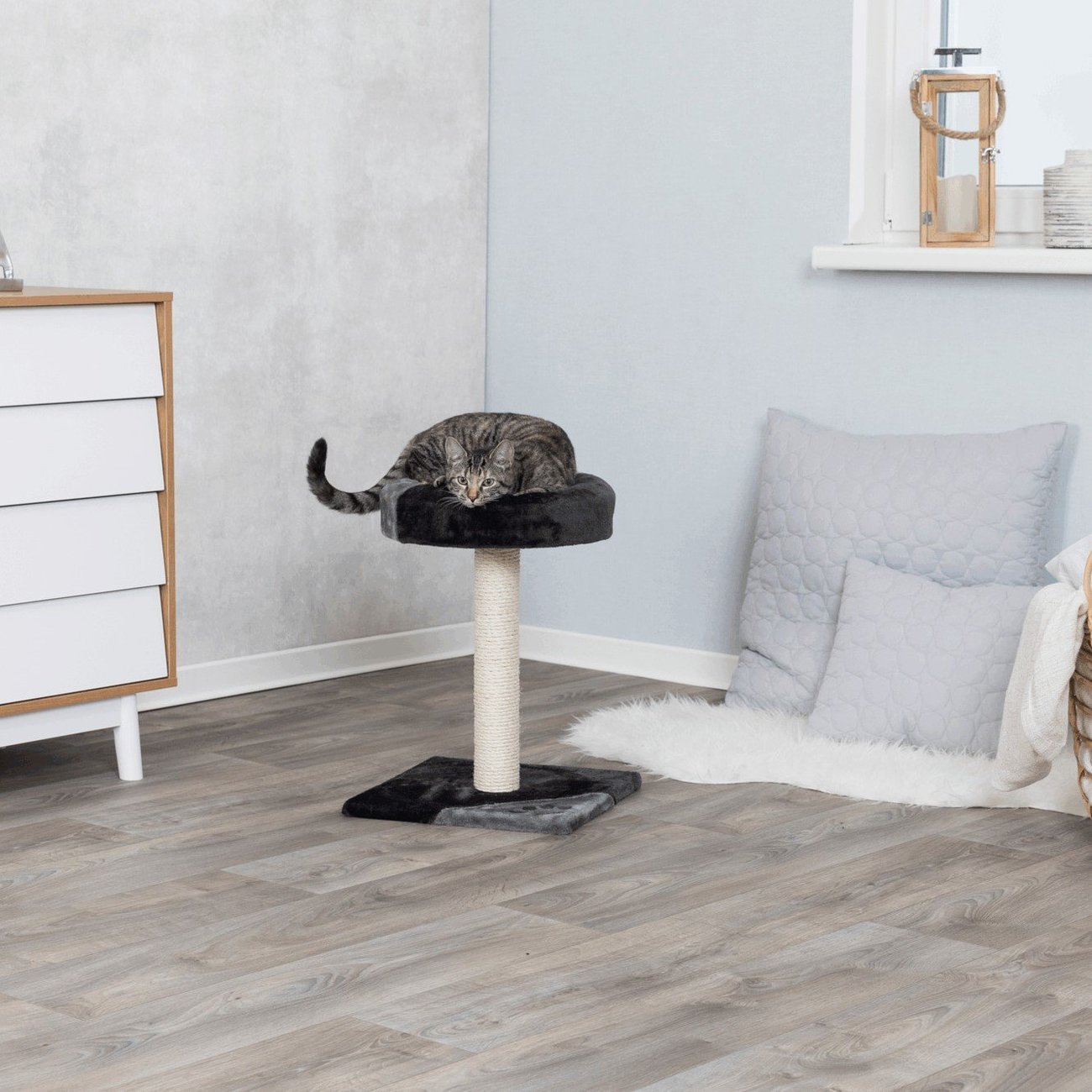 Kratzbaum Tarifa Bild 8