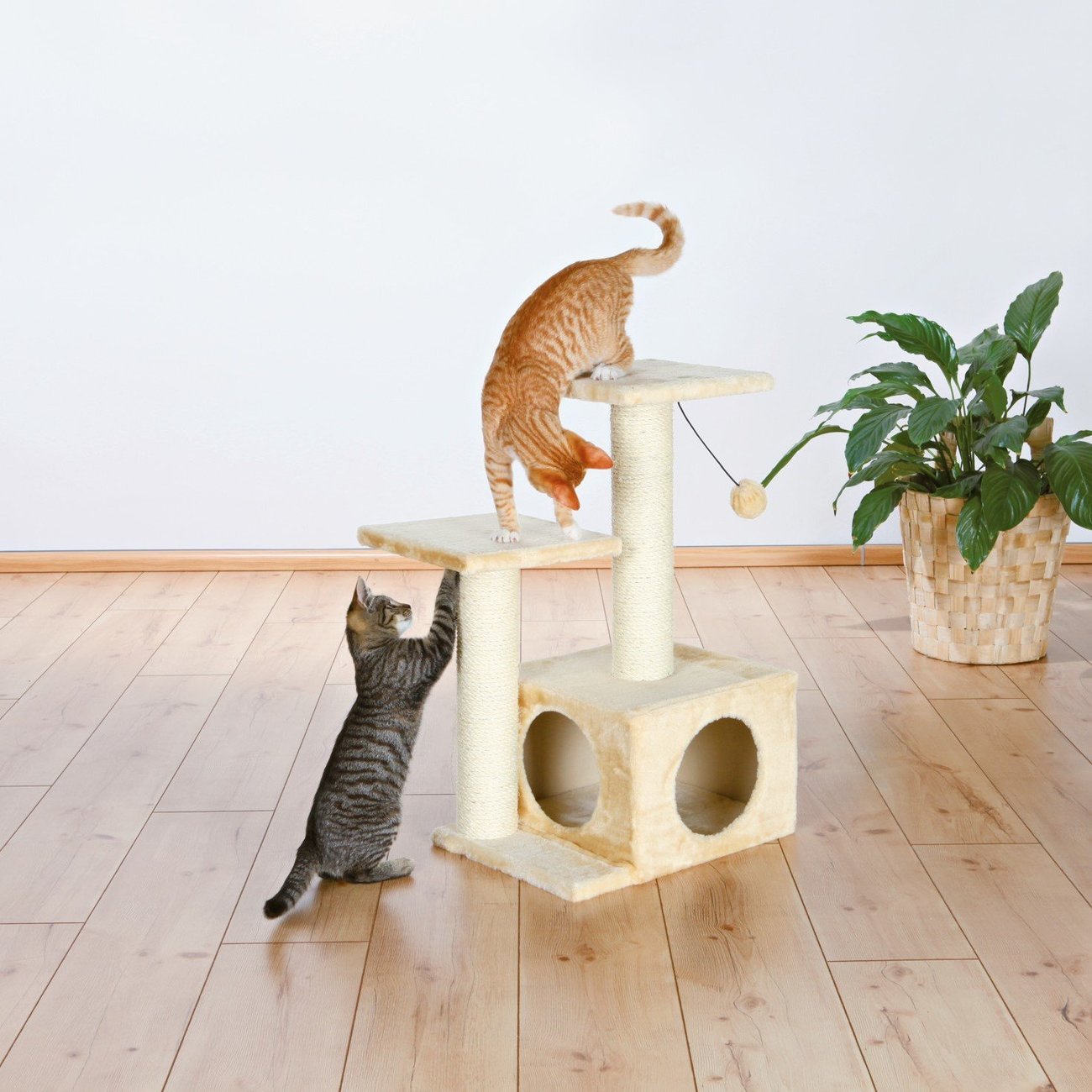 Kratzbaum Valencia Bild 6