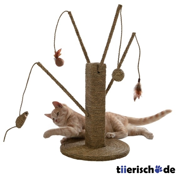 Kratzstamm Katze mit Seegras Bild 1