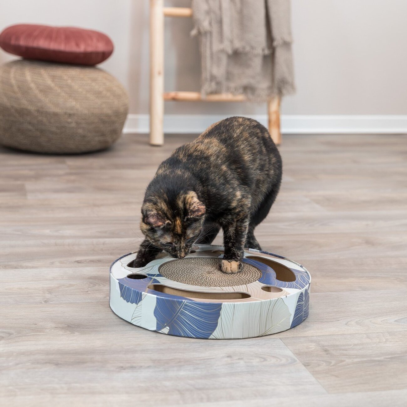 Kratztrommel mit Spielzeug für Katzen Bild 6