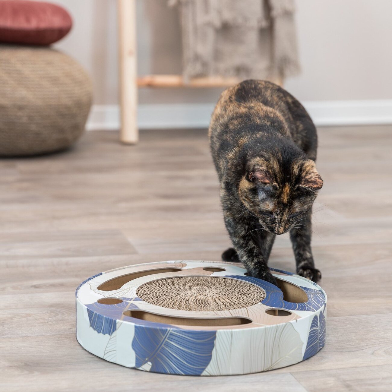 Kratztrommel mit Spielzeug für Katzen Bild 2