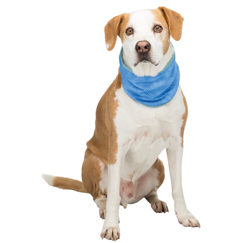 Kühlbandana Kühlhalsband für Hunde Bild 7