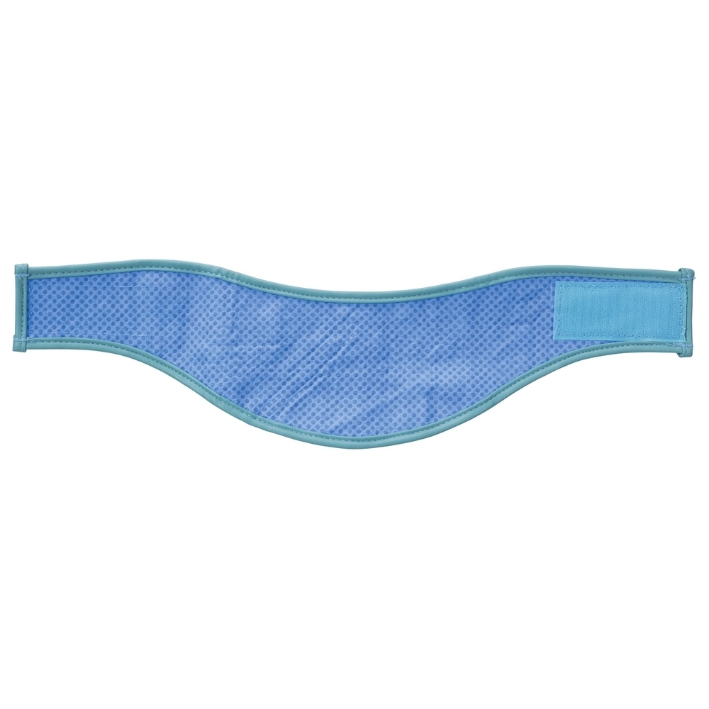 Kühlbandana Kühlhalsband für Hunde Bild 2