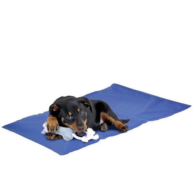 Kühlmatte Fresk für Hunde und Katzen Bild 2