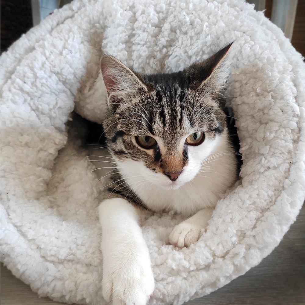 Kuschelsack Paul Bild 7