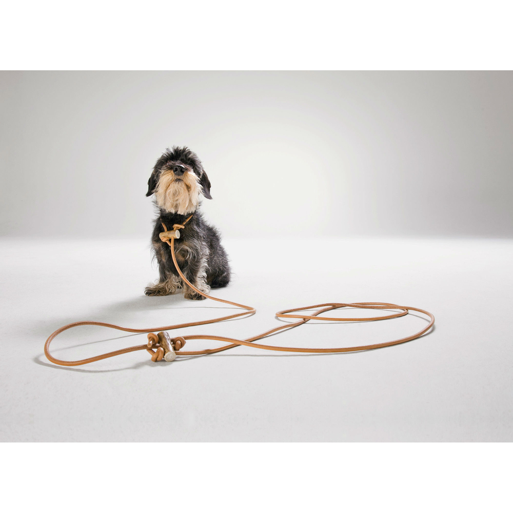 Hunter Lautlose Jagdleine Bild 2