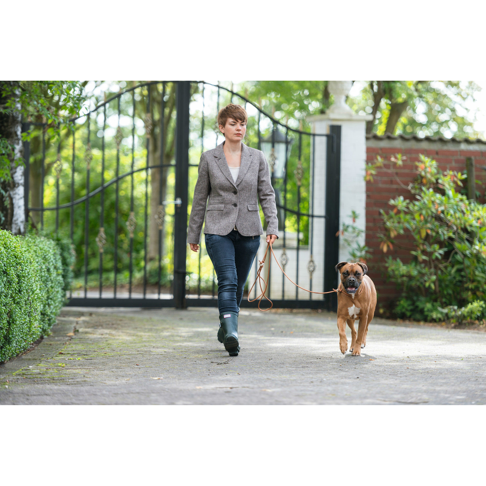 Hunter Lautlose Jagdleine Bild 4