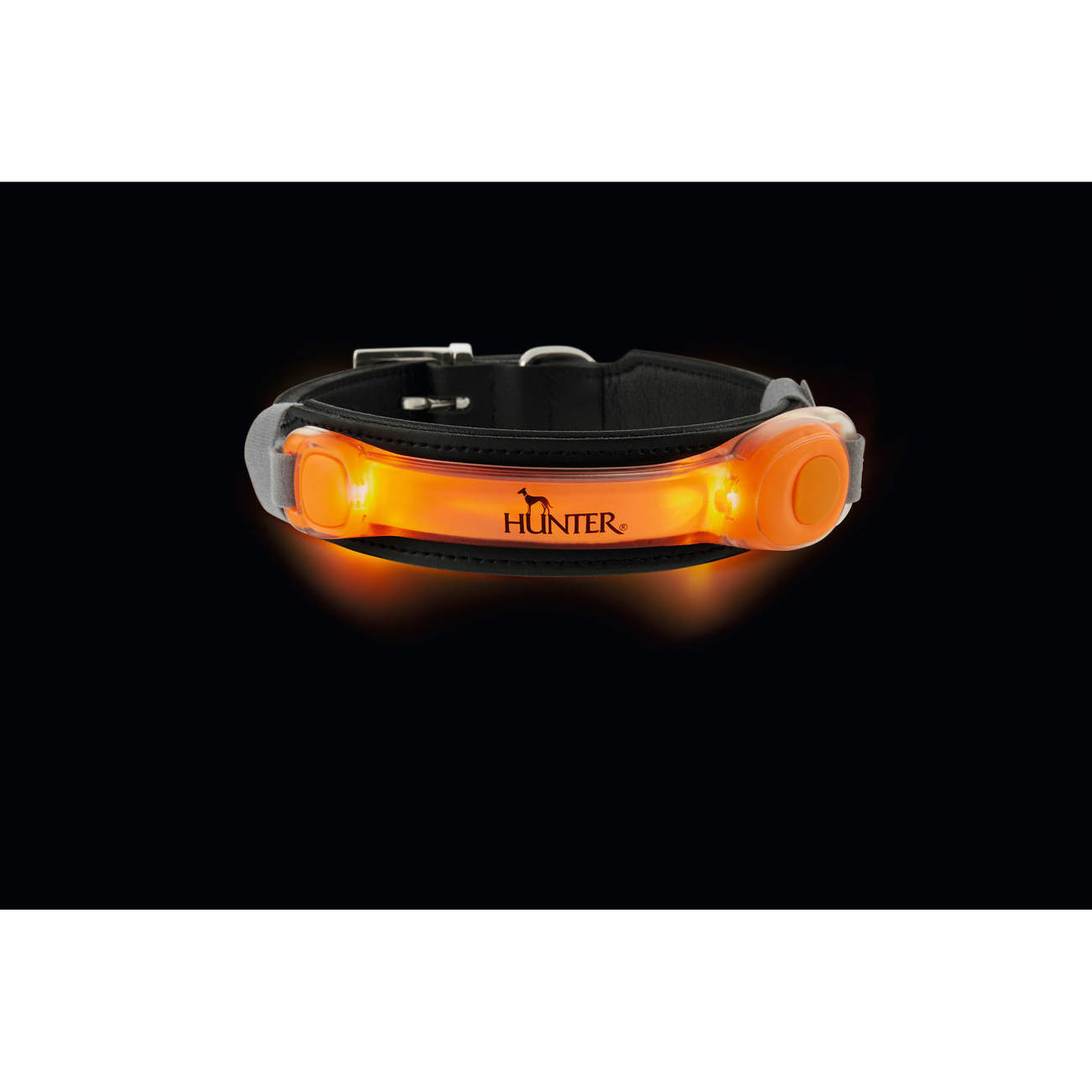 LED Halsband Leuchtadapter Yukon Bild 2