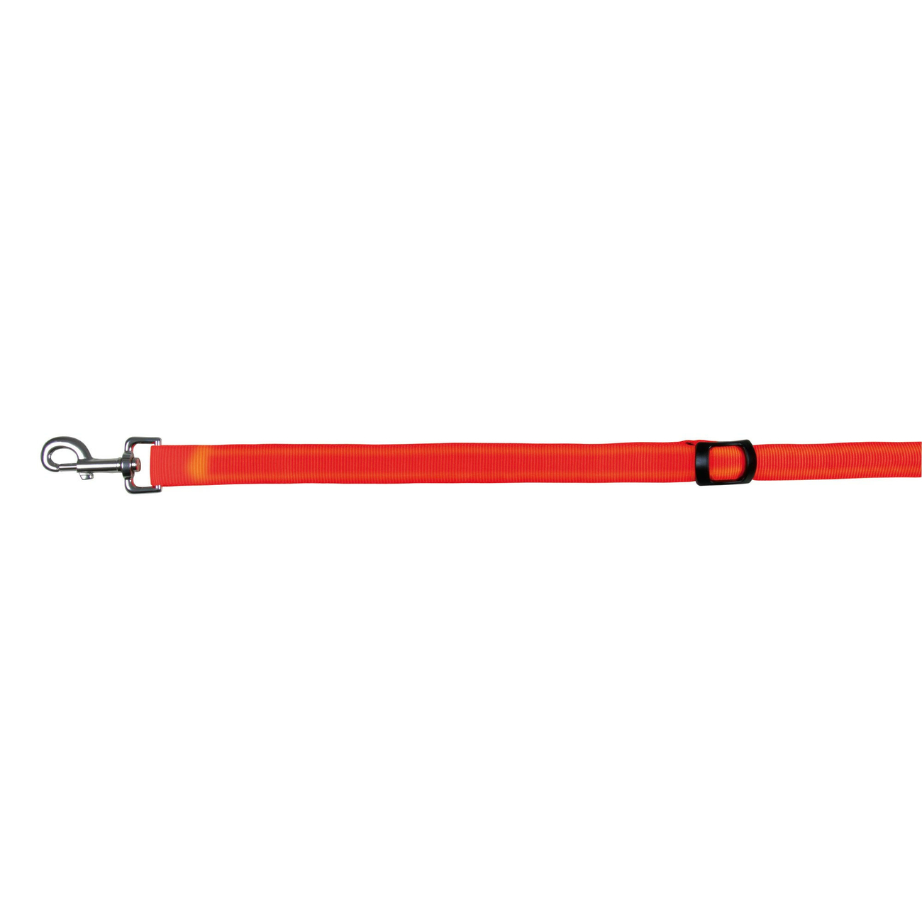 LED Hundeleine Flash Bild 2