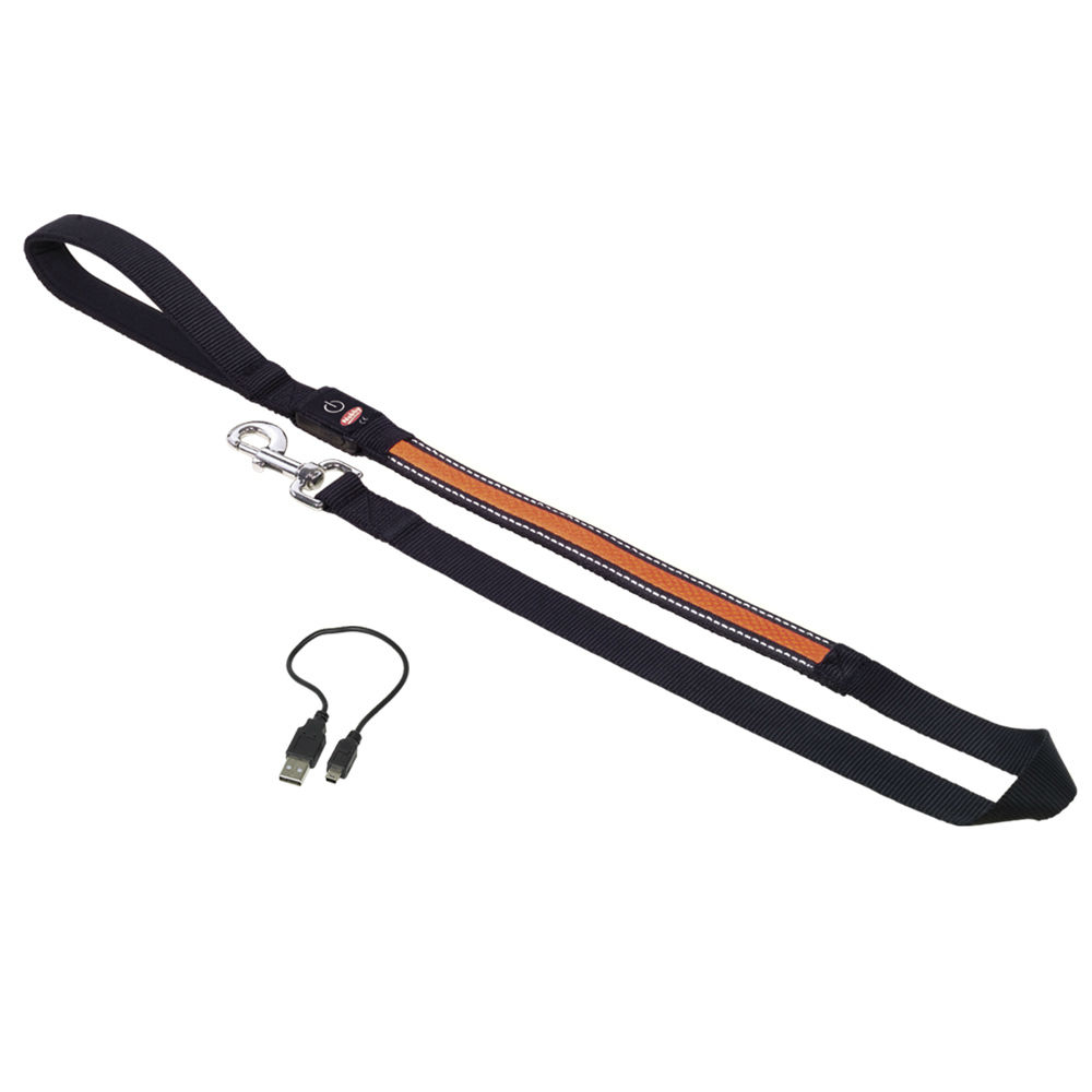 LED Hundeleine Norweger Leuchtleine FLASH MESH Bild 2