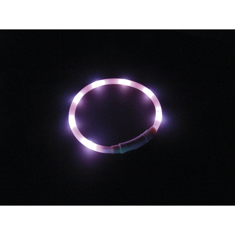 LED Lichtband PUPPY für Welpen Bild 4