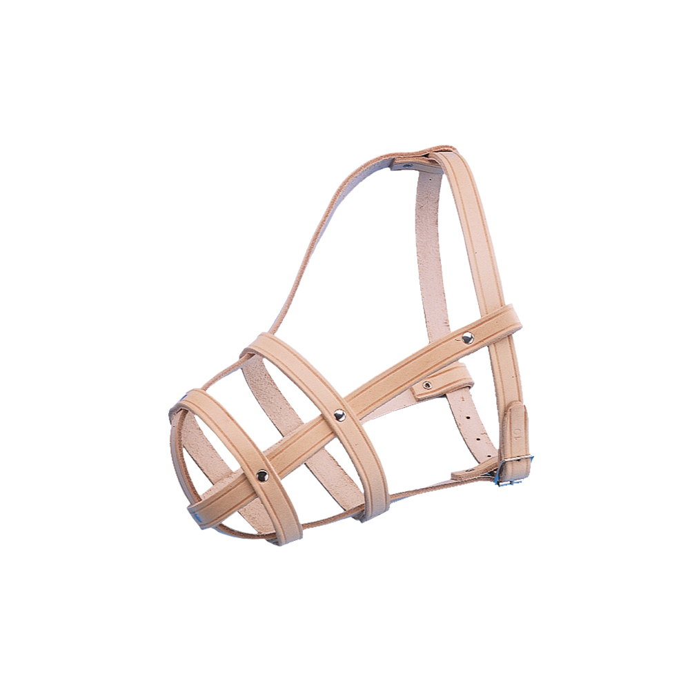 Leder Maulkorb für Hunde Bild 6