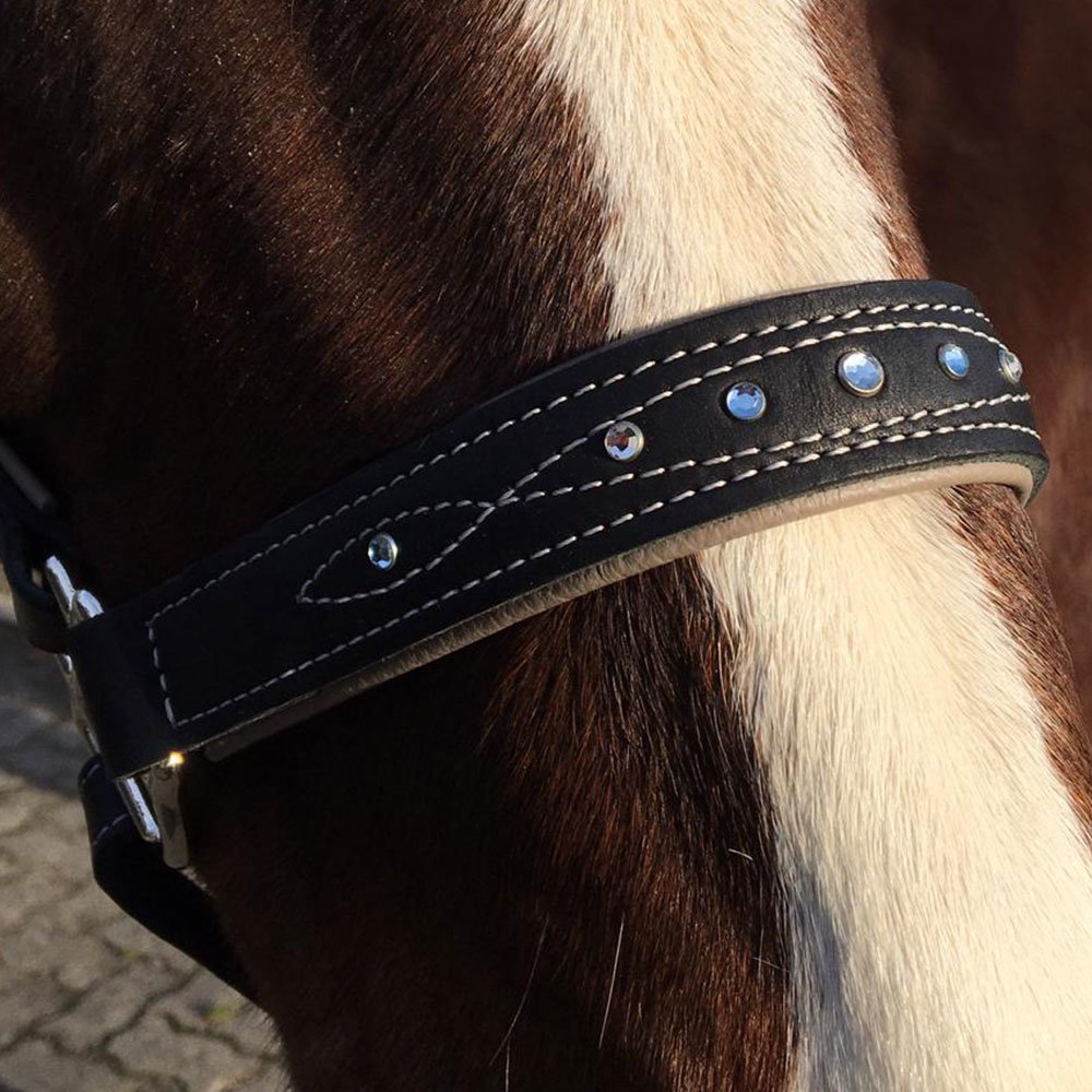 Sternfalbe Lederhalfter mit Strass Bild 9