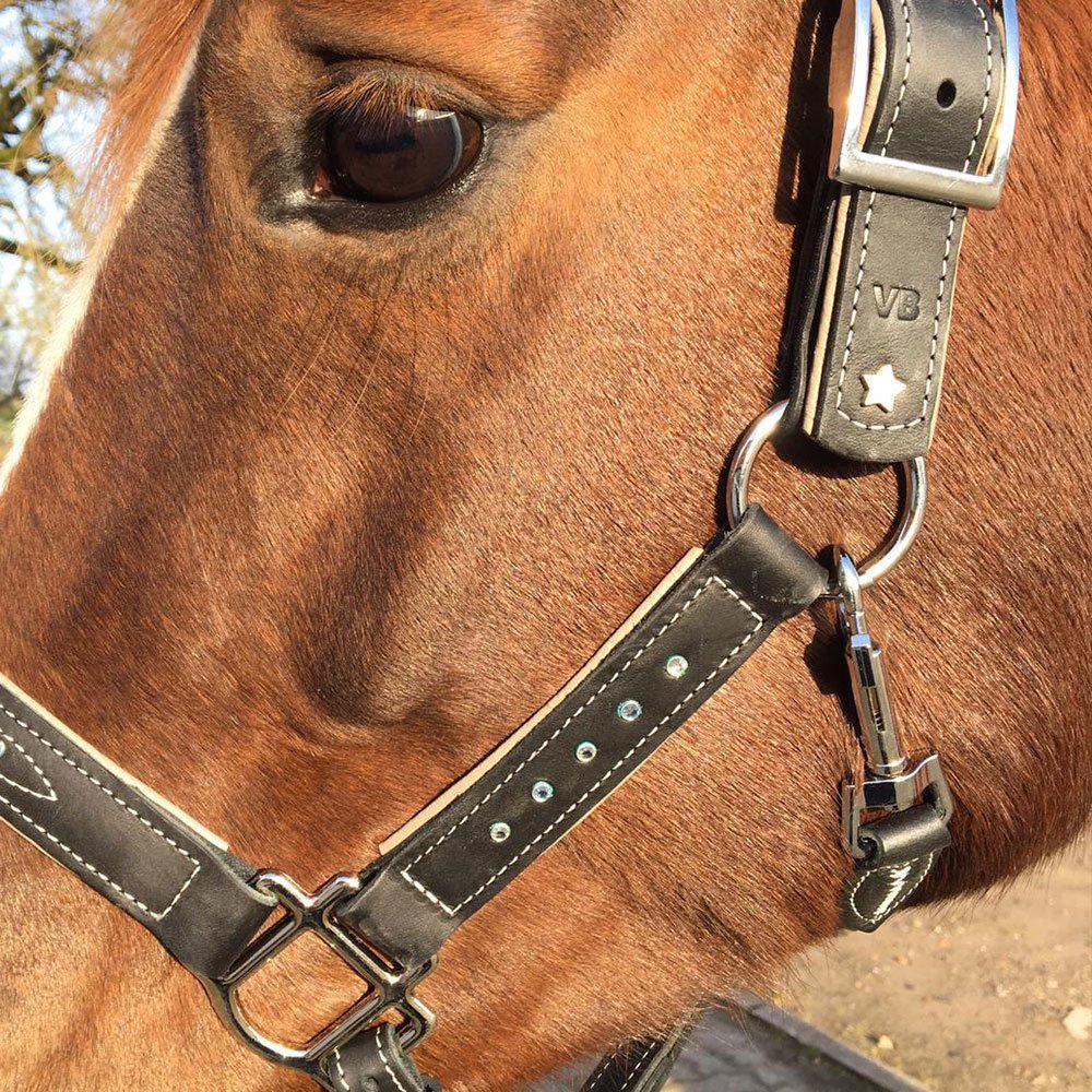 Sternfalbe Lederhalfter mit Strass Bild 7