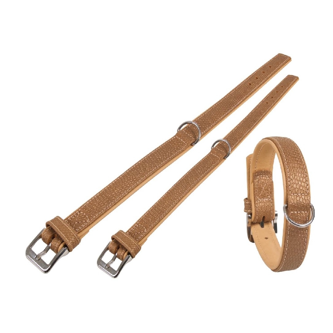 Lederhalsband Aurum für Hunde Bild 1